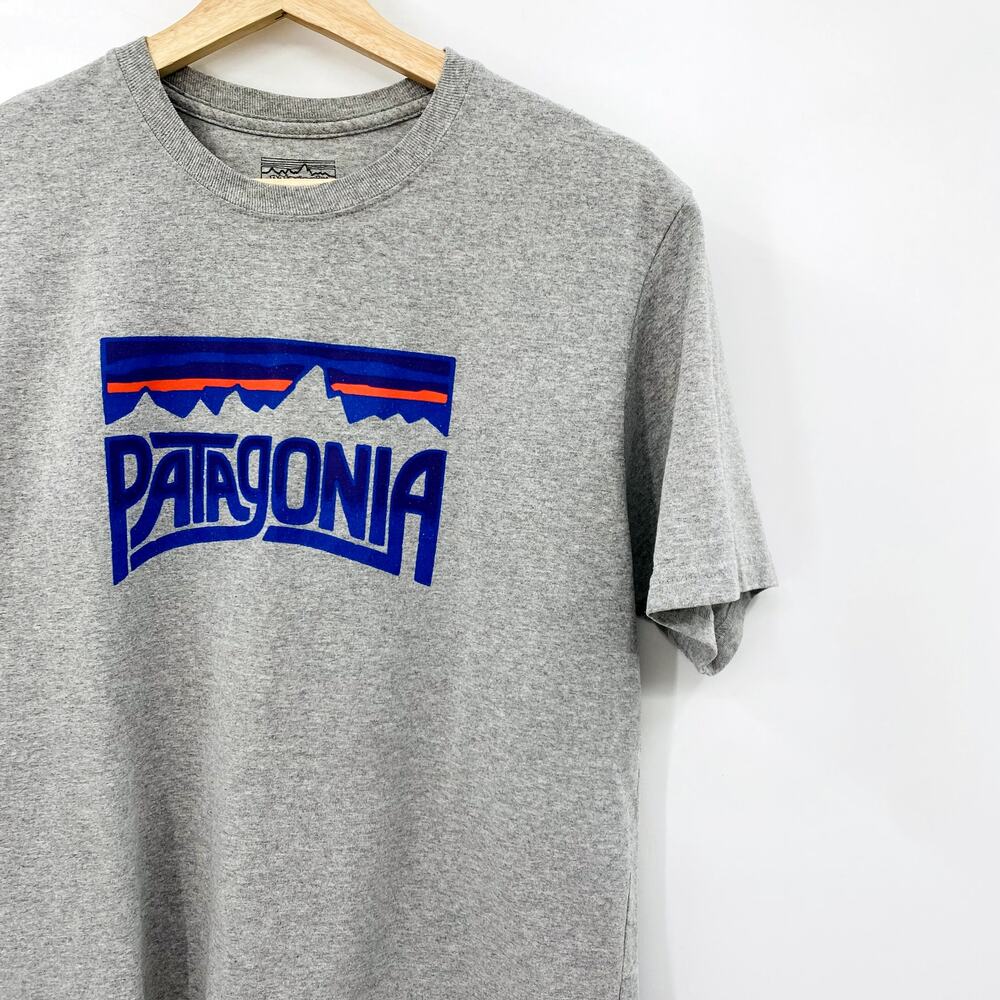 Patagonia gray Graphic Tee